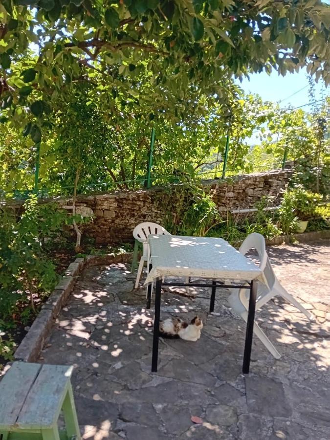 Stone Pazar Guest House Гірокастра Екстер'єр фото