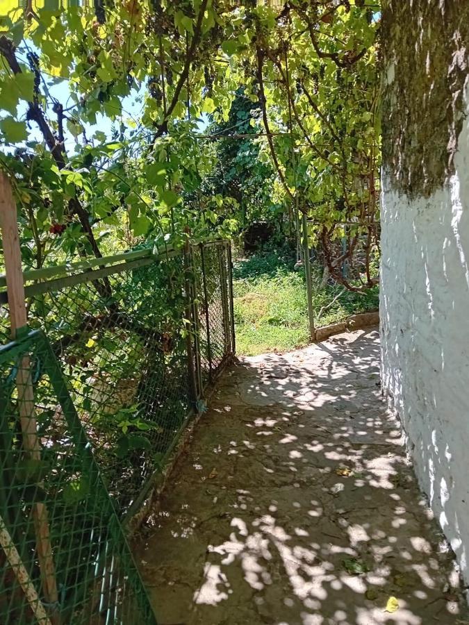 Stone Pazar Guest House Гірокастра Екстер'єр фото